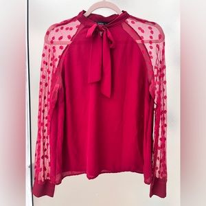 Professional work top with tie neck and sheer sleeves